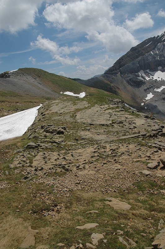 DSC_2955.JPG