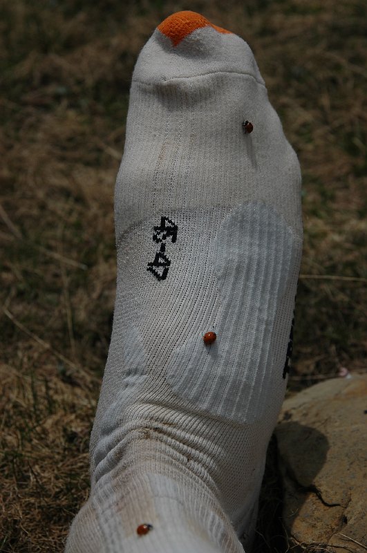 DSC_2956.JPG