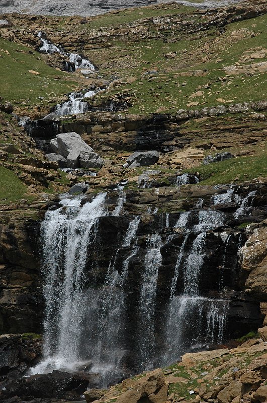 DSC_2958.JPG