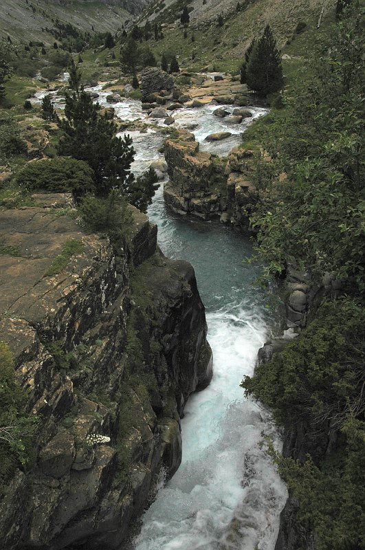 DSC_2979.JPG