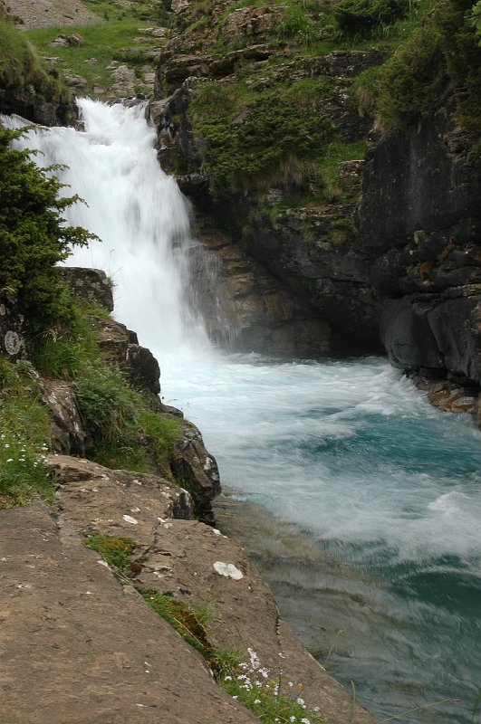 DSC_2982.JPG