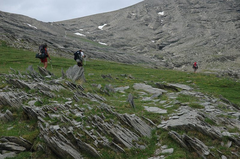 DSC_2994.JPG