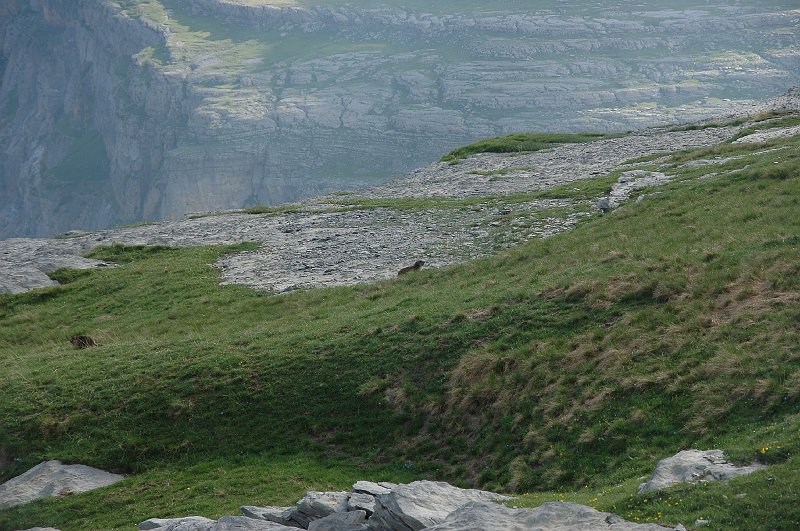 DSC_2995.JPG
