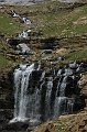 DSC_2958