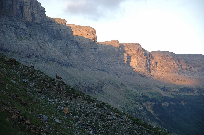 DSC_3006.JPG