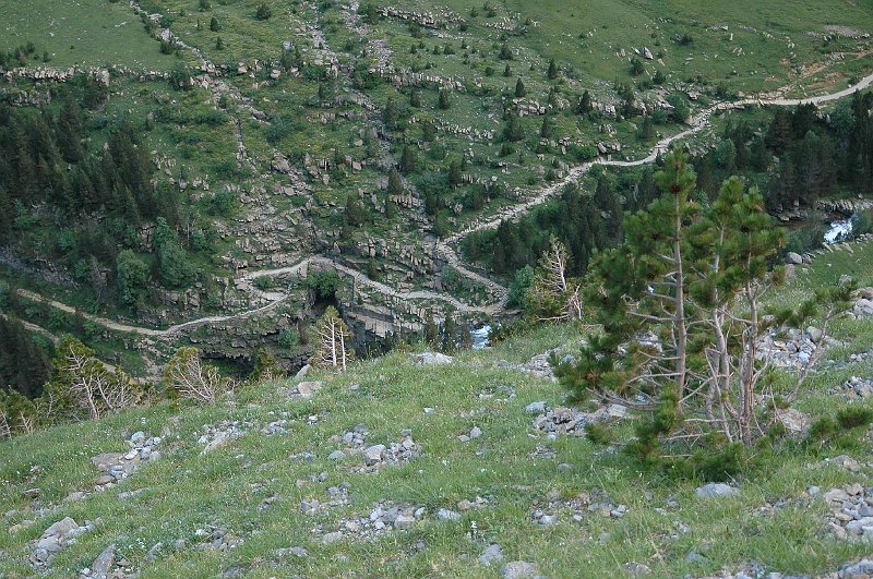 DSC_3011.JPG