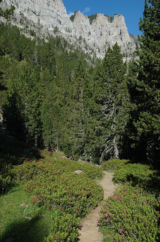 DSC_3019.JPG