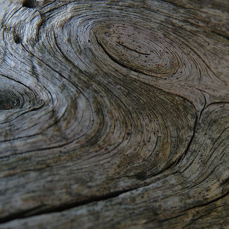 DSC_3023.JPG