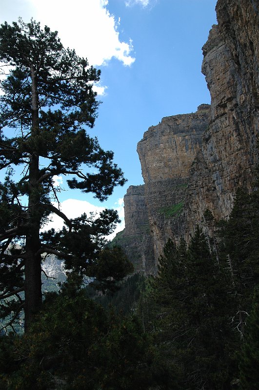 DSC_3042.JPG