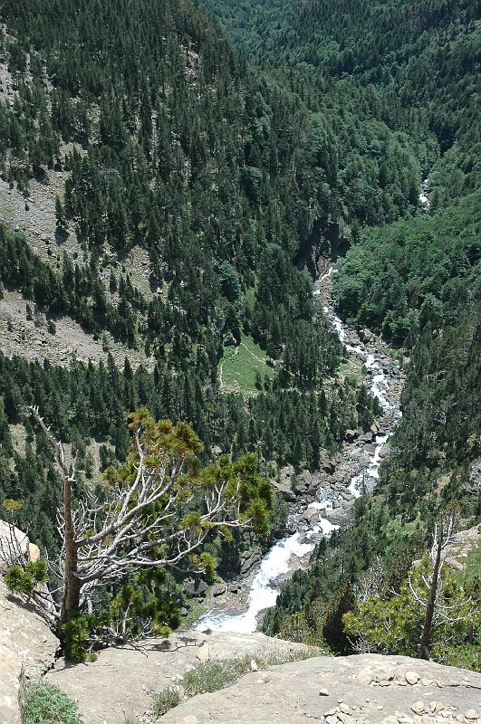 DSC_3053.JPG