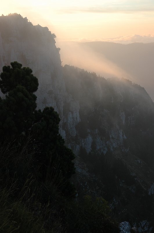 DSC_3151.JPG