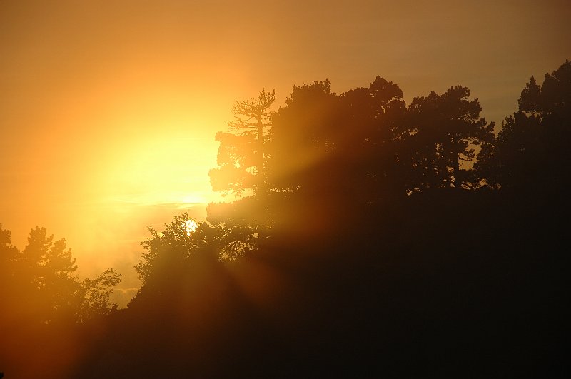 DSC_3152.JPG - belle ambiance brumeuse avec ce magnifique coucher de soleil