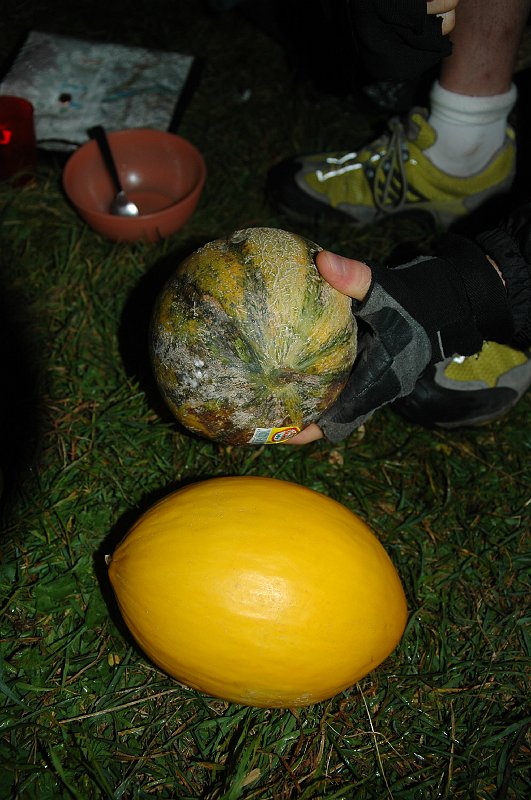 DSC_3168.JPG - les melons avant qu'on leur fasse la fête