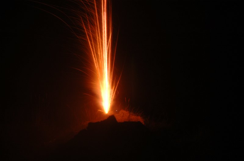 DSC_3175.JPG