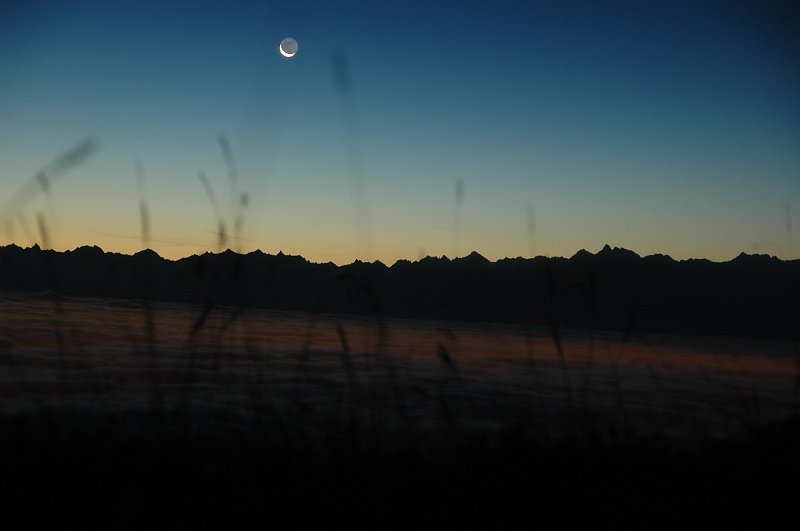 DSC_3203.JPG