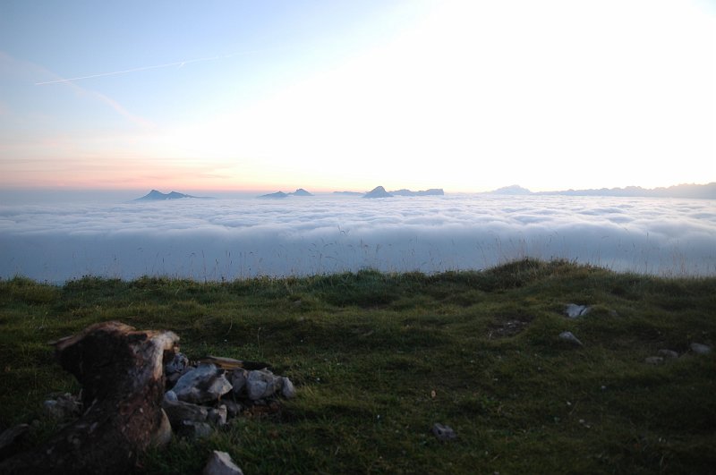 DSC_3210.JPG