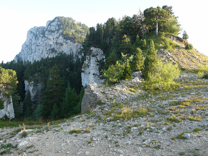 P1030458.JPG