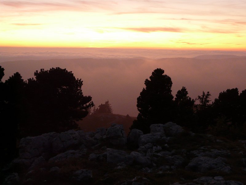 P1030474.JPG