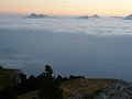 P1030525