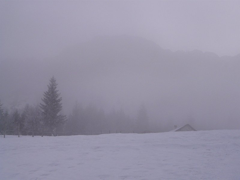 P1040988.JPG - dans la brume...