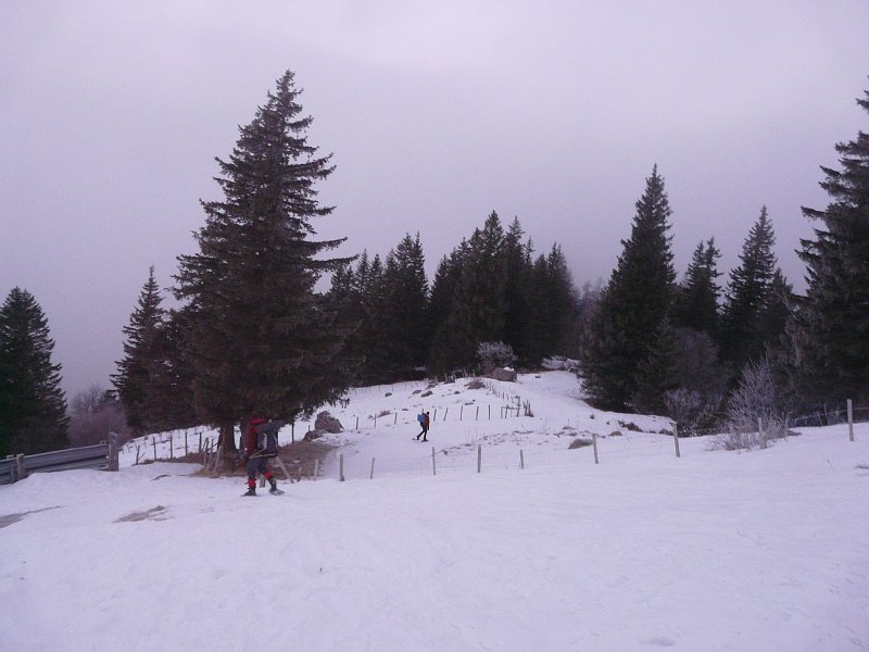 P1040989.JPG