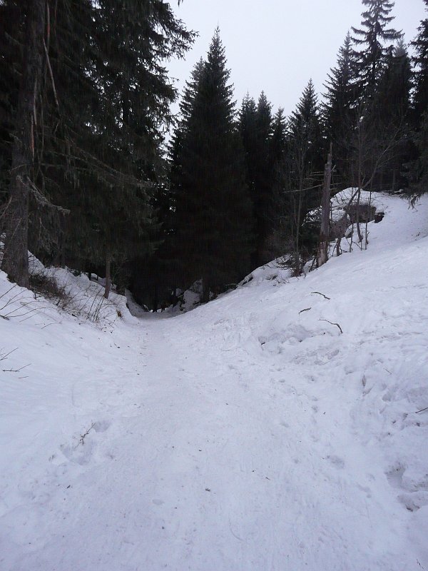 P1040991.JPG