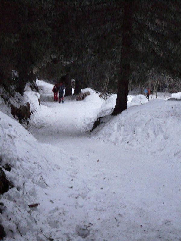 P1040992.JPG