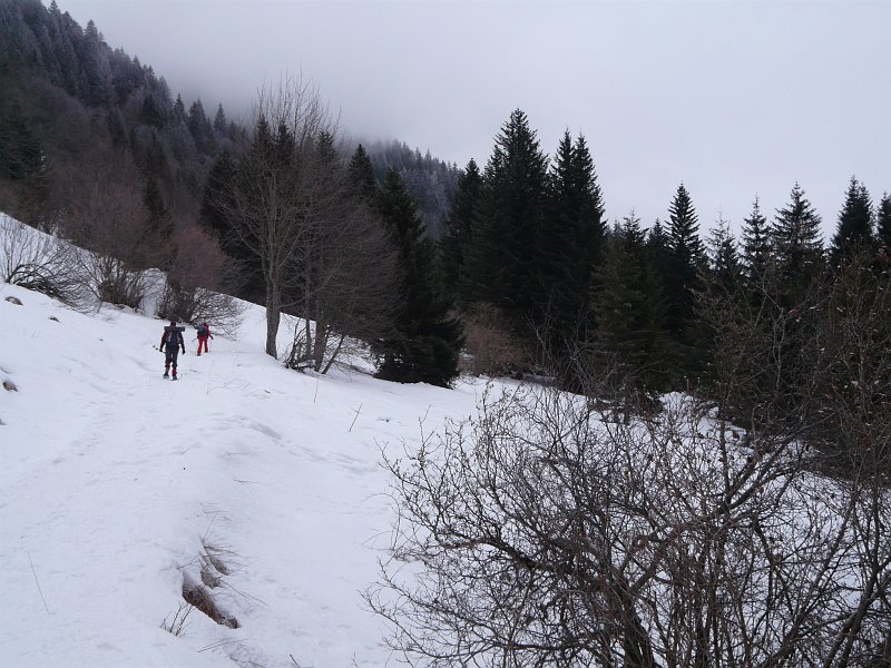 P1040993.JPG