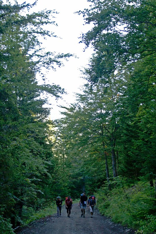2010-09-11,10-04-49.jpg - SONY DSC