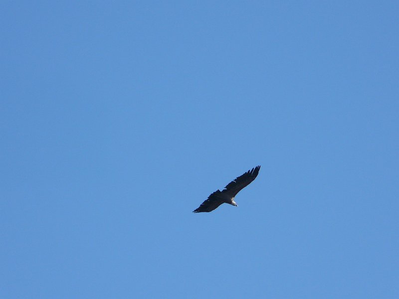 2010-09-11,17-58-56.jpg