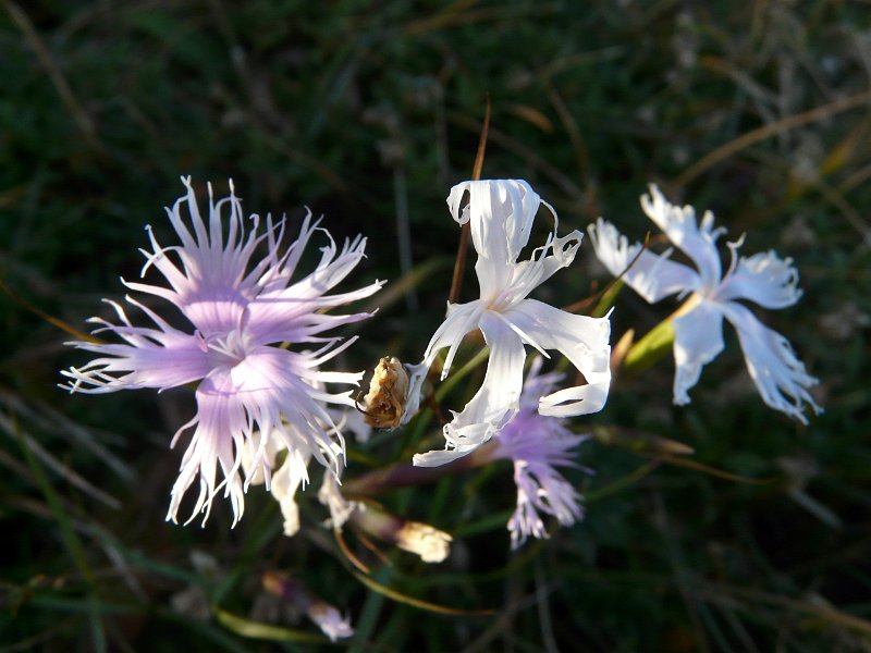 2010-09-11,19-05-02.jpg