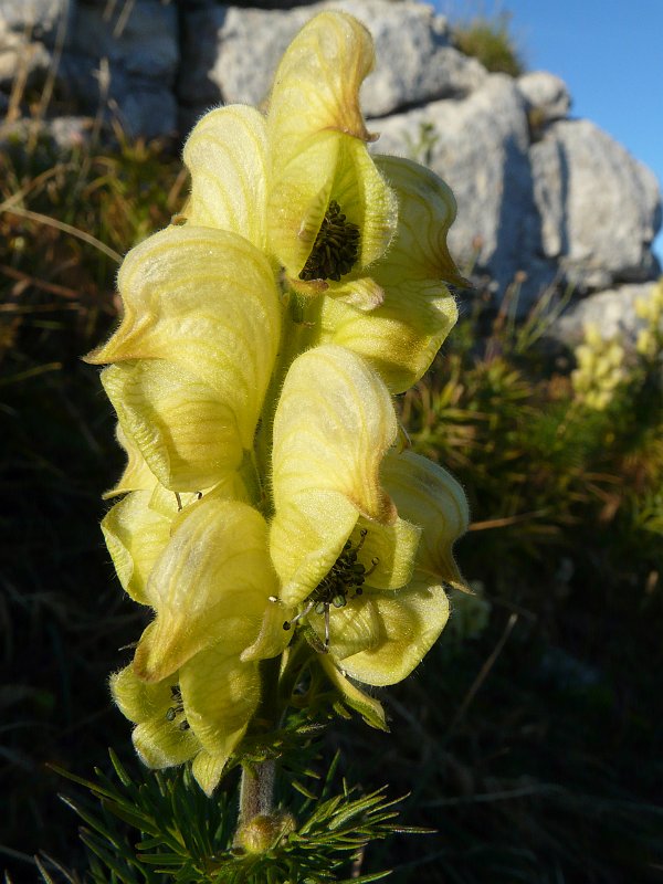 2010-09-11,19-05-35.jpg