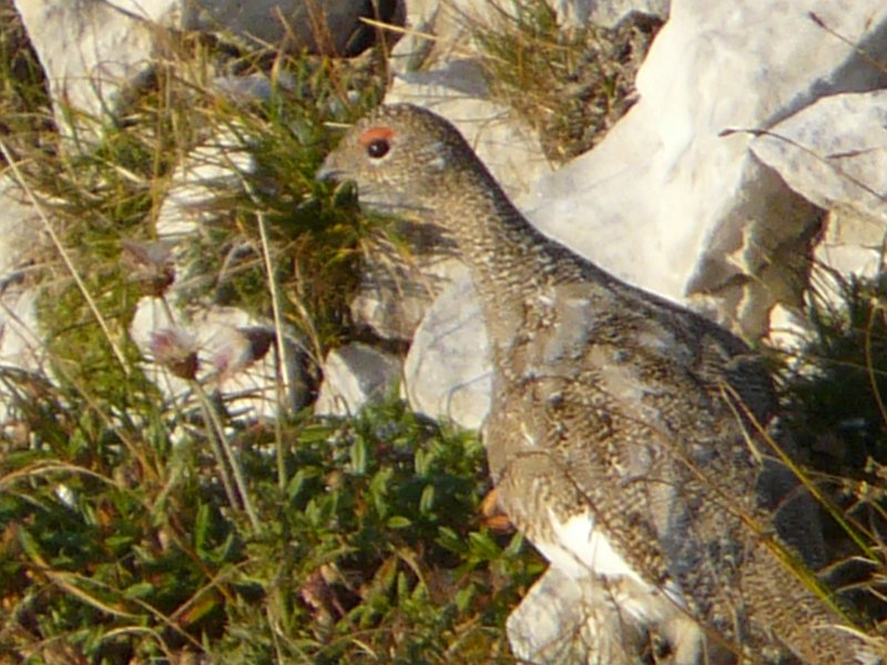 2010-09-11,19-22-14.jpg