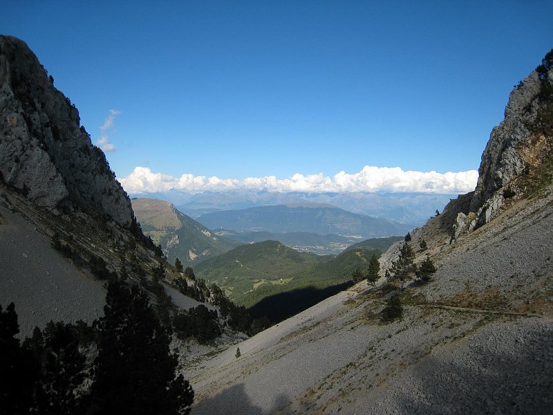 IMG_5906.jpg