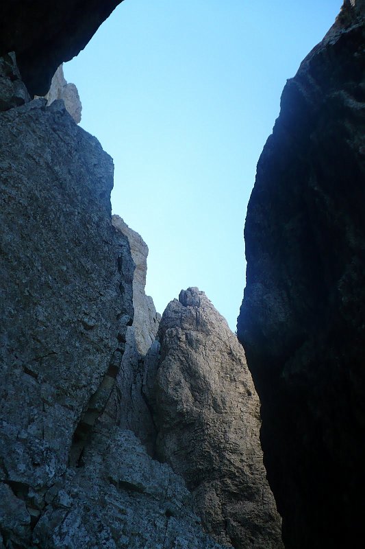 P1050013.jpg
