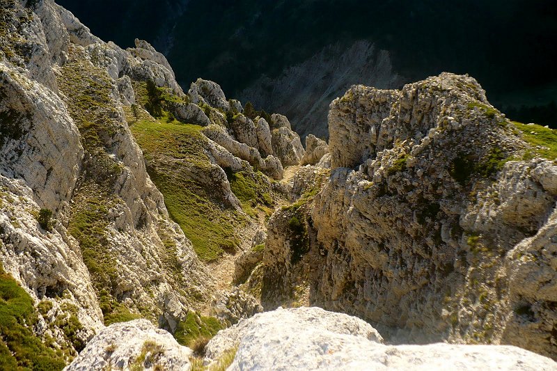 P1050072.jpg