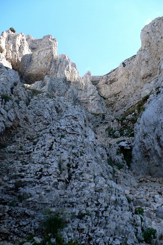 P1050117.jpg