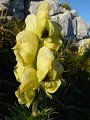 2010-09-11,19-05-35