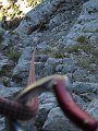 IMG_0159