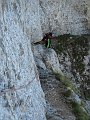 IMG_0184