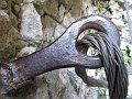 IMG_0191