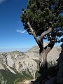 IMG_0274