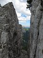IMG_0294