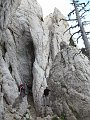 IMG_0307