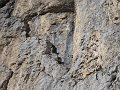 IMG_0310