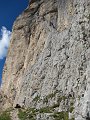 IMG_0311