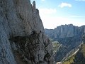 IMG_5730