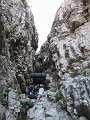 IMG_5731