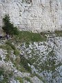 IMG_5867
