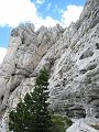 IMG_5873